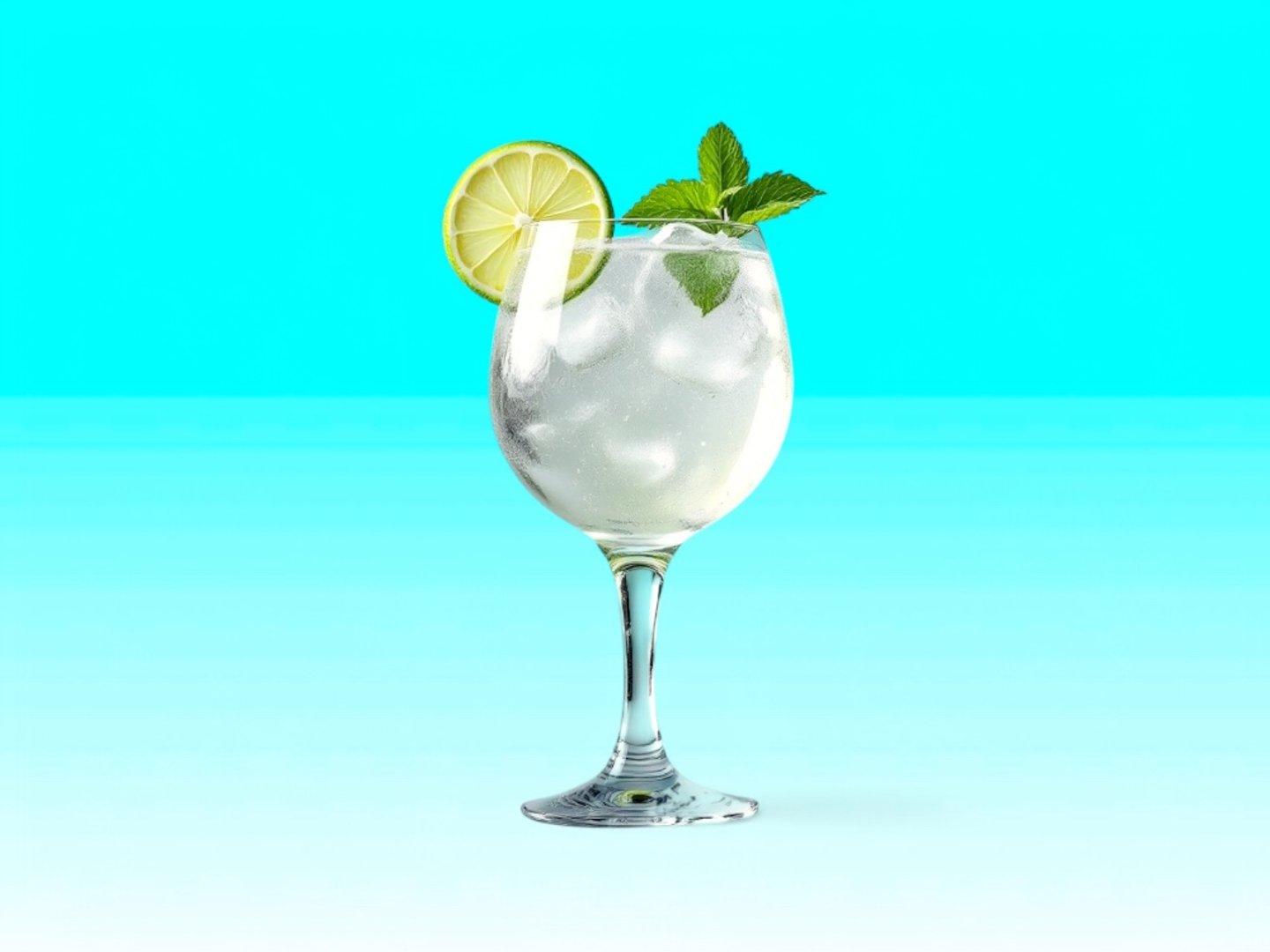 Classic Gin Tonic 33cl