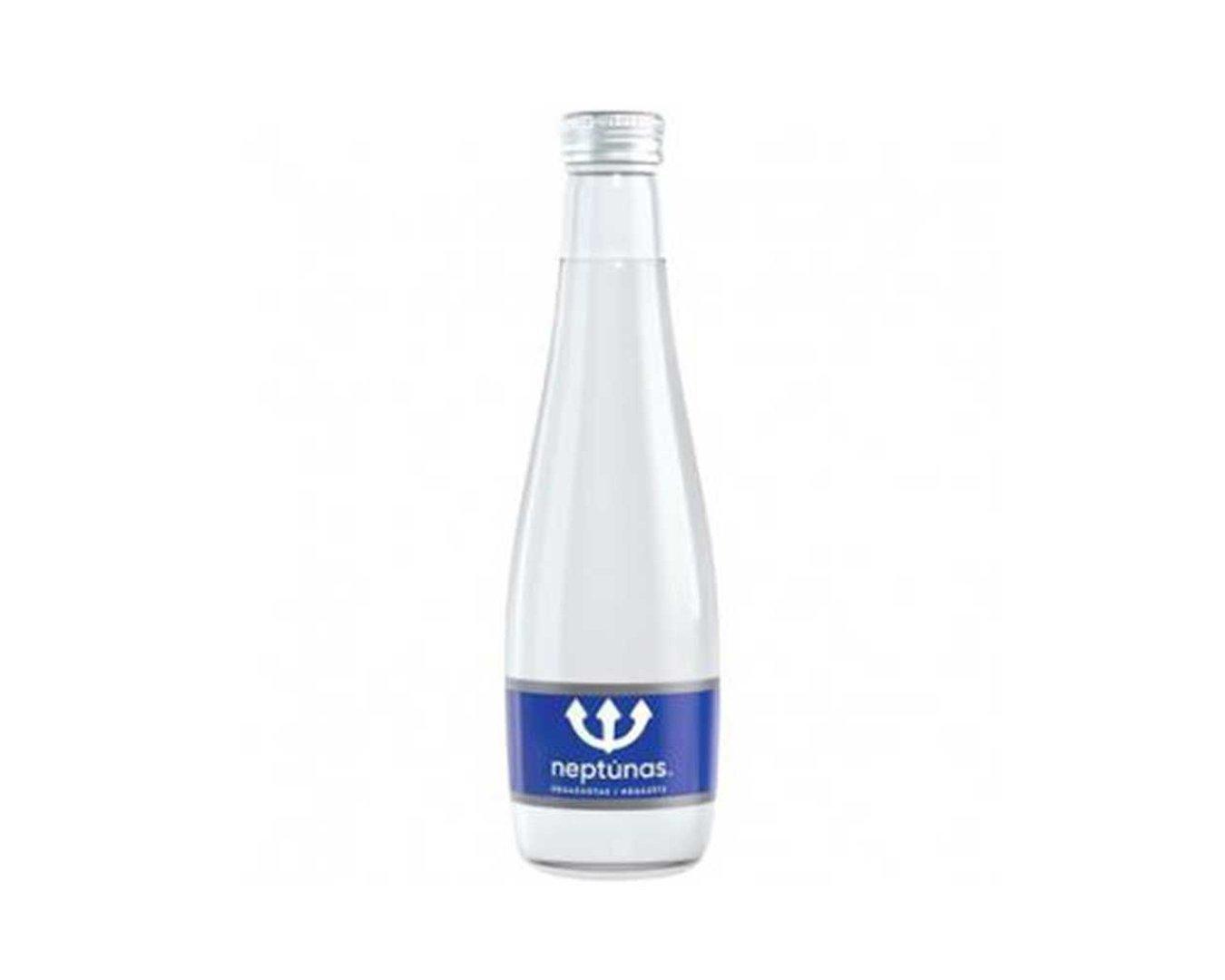 Neptunas gaasita 0,33 l