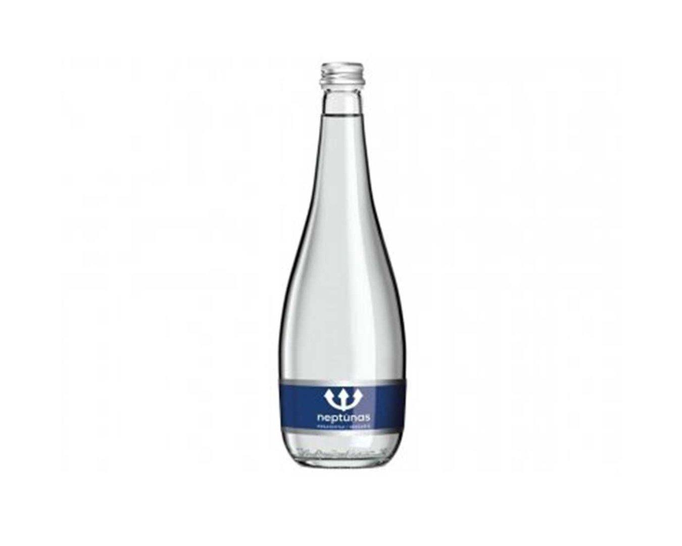 Neptunas gaasita 0,75 l